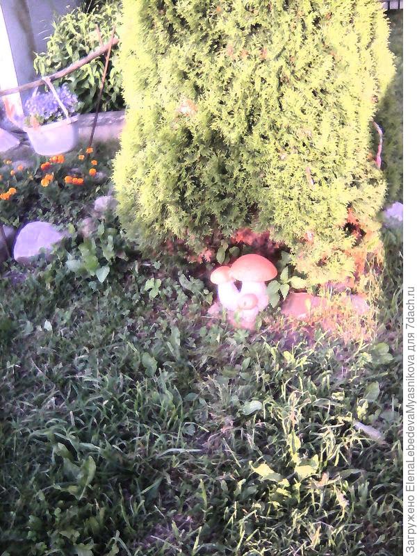 А это украшение на нашем участке, раскрашивали внуки