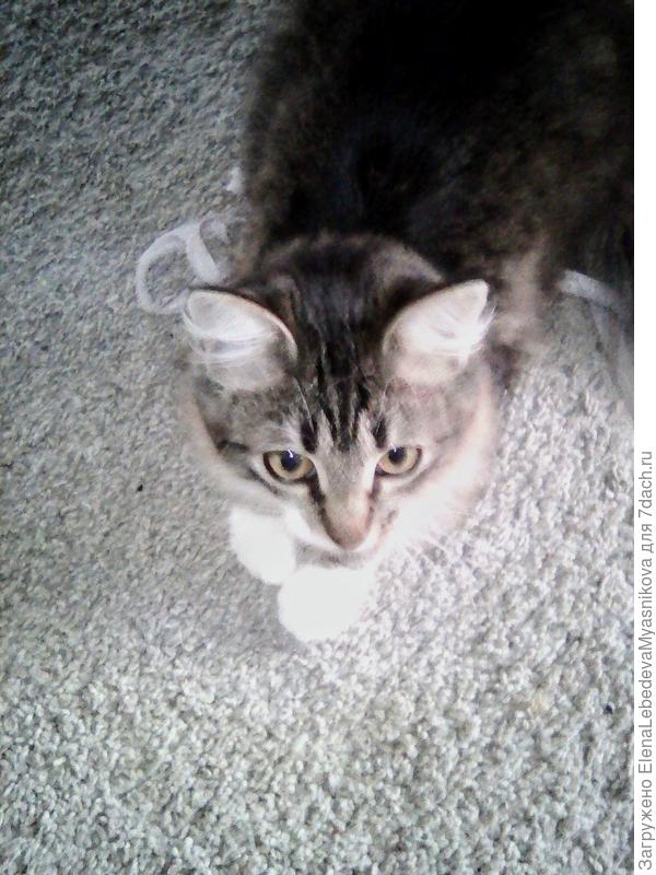 Знакомьтесь, Стеша.