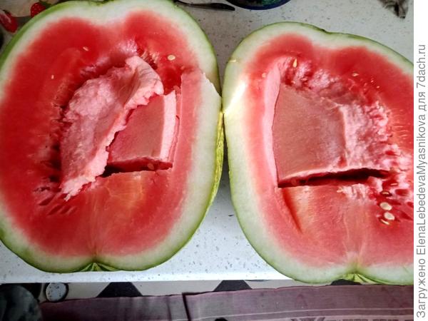 Наташа, мы даже арбузы научились выращивать.Угощайся.