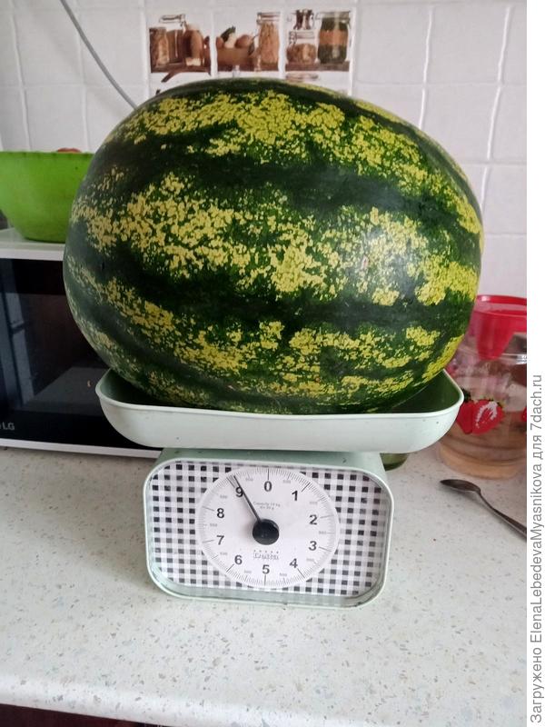 Самый большой