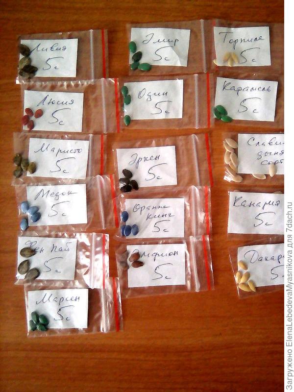 Арбузы и дыни