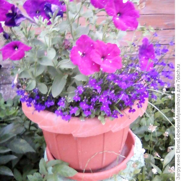 С днём рождения!