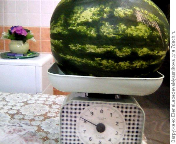 И вес вполне приличный