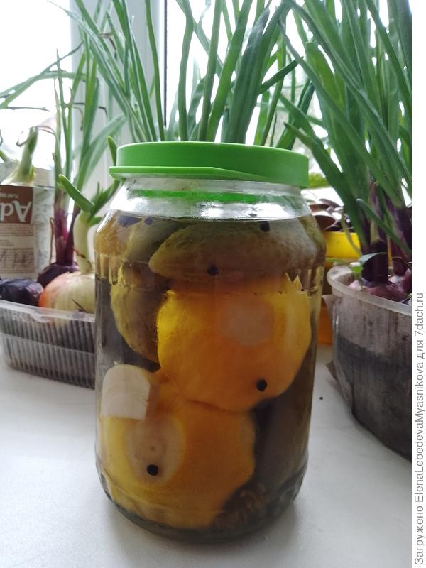 Наташа, мне очень понравились и замороженные и маринованные с огурцами.Но осталось только два семечка на этот год, а ку пить снова пока не нашла..