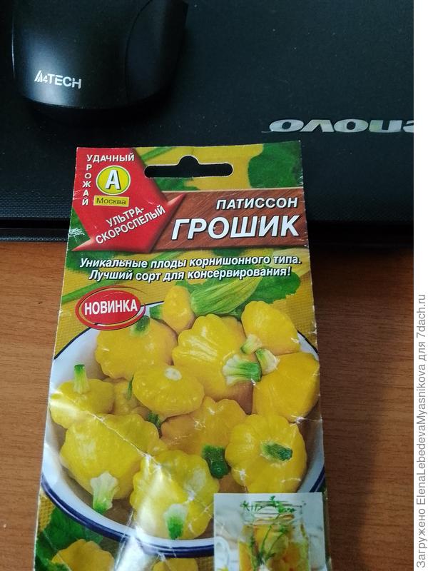 У меня Грошик, похож на твою Копейку,