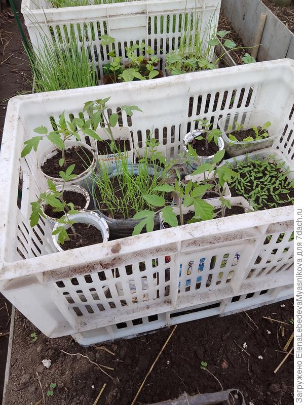 Пока все хорошо.