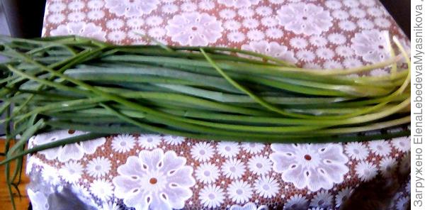 Лук на перо, есть такой сорт.Нежный, в стрелу не уходит, растет до осени