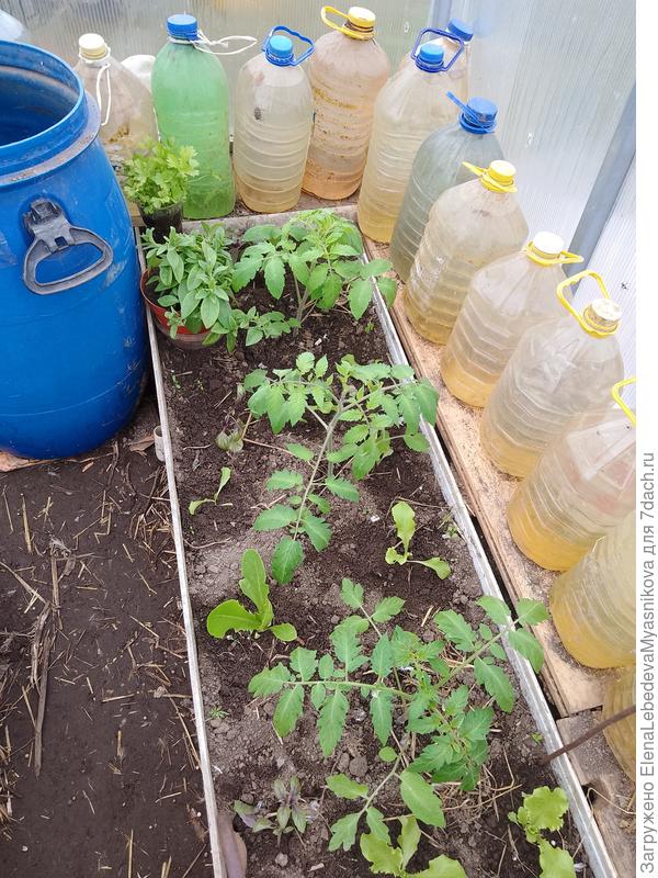 На ночь сверху укрывной.