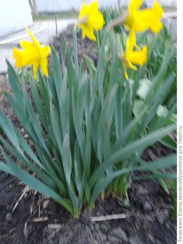 С днём рождения!