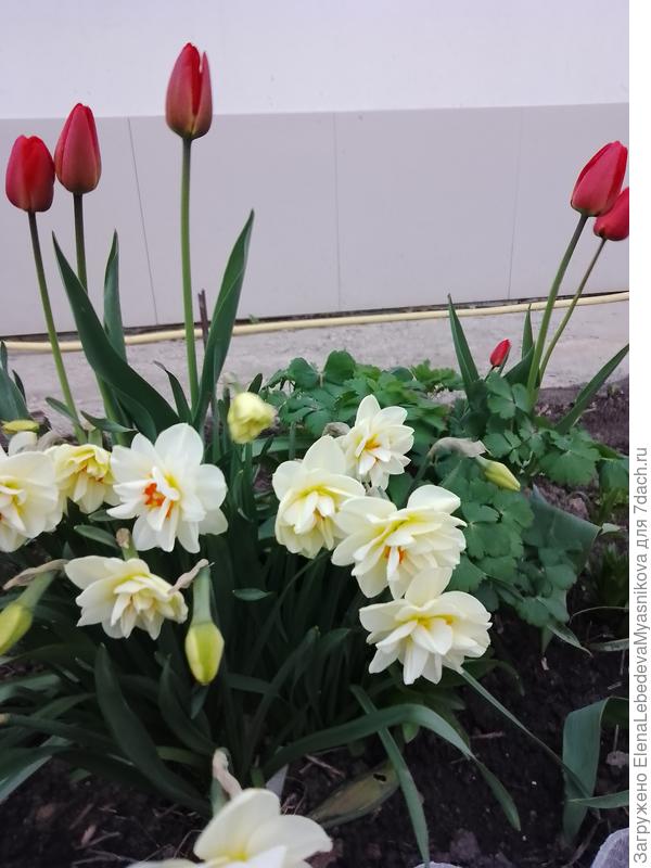 С юбилеем!!!