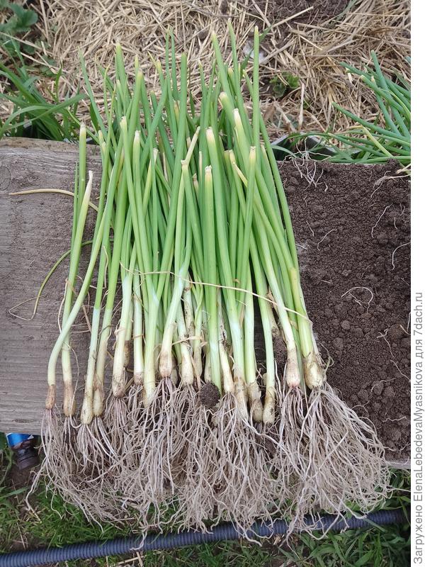 К посадке готов.