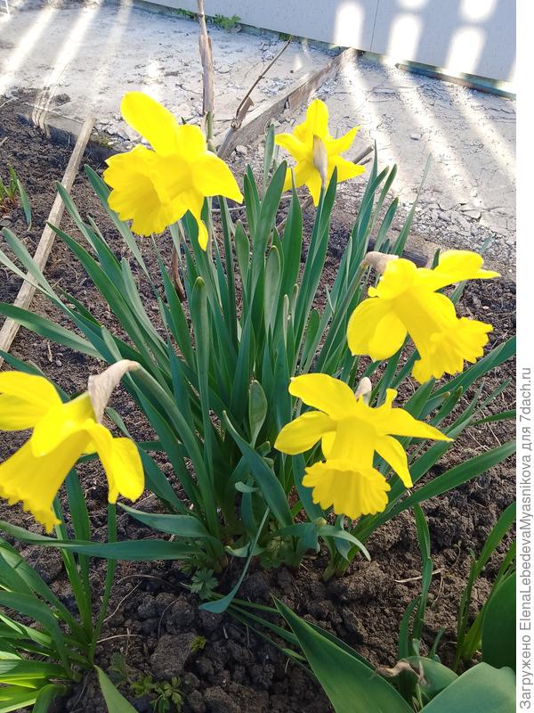 С днём рождения!