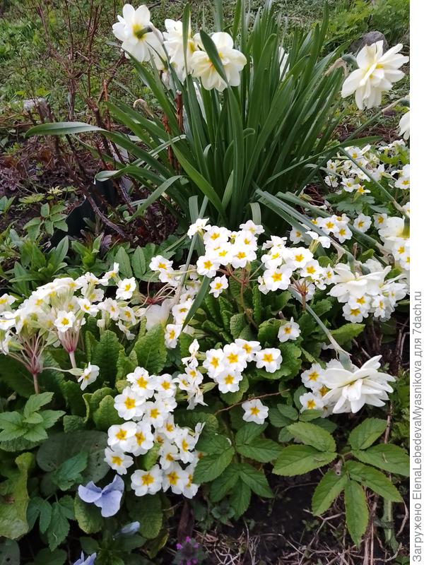 С днём рождения!