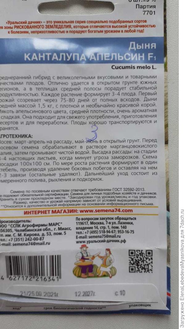 Кто нибудь пробовал растить в одну плеть как здесь рекомендуют? Подруга говорит, что смотрела ролик, где гибриды дынь рекомендуют выращивать без первоначальной прищипки.Может есть новые методы, а мы и не знаем?