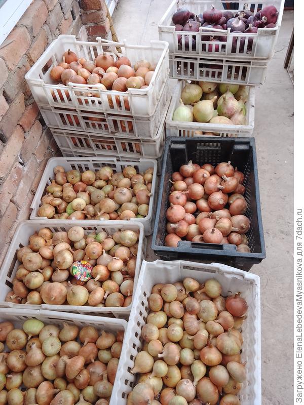 Стратегический запас на зиму, заготовки сделаны.
