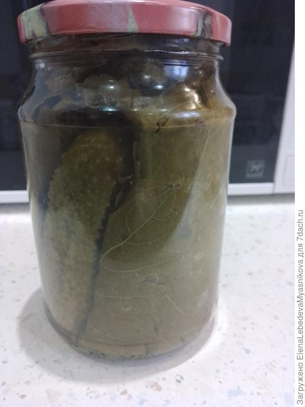 Анна, спасибо, что напомнили рецепт.Я ведь заготовила свои виноградные листья. Заворачивала огурцы в пачку листьев и через один ставила в банку.Замариновала обычным для огурцов способом.Надо на выходных попробовать, что получилось.