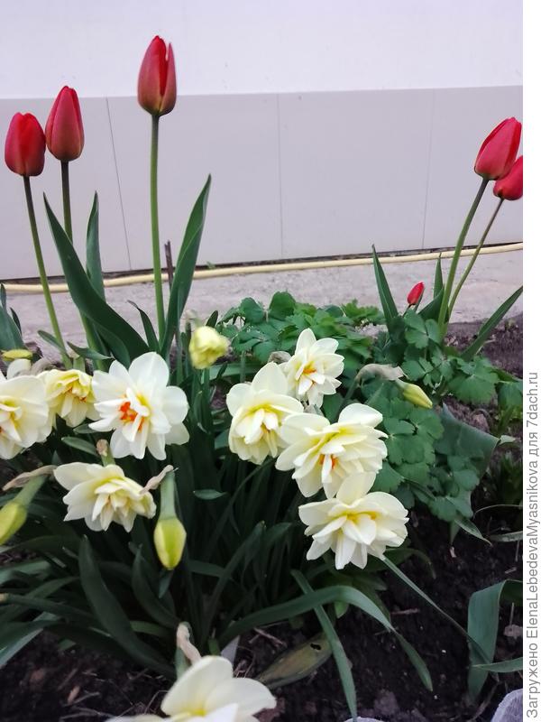 Ранней весны.