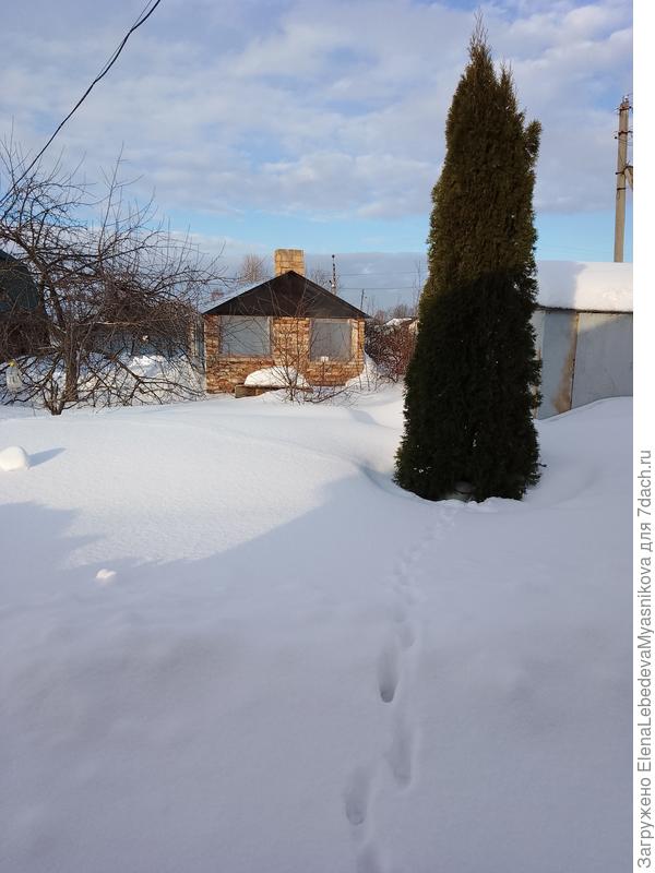 Вид с торцовой стороны. Окна пока заделаны пленкой