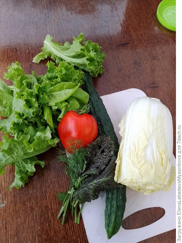 18 июня первый салат.Как же всё вкусно из своих овощей
