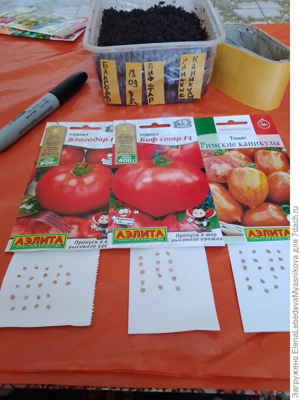 Качество семян хорошее, щуплых нет.