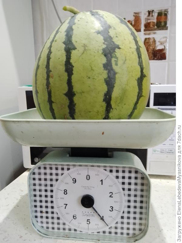 Полное название Емеля Хрустальный.