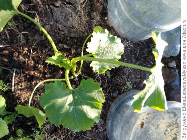 Мы выжили!!!