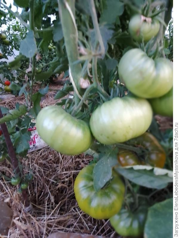 Малахитовая шкатулка.