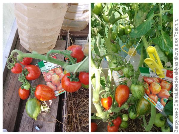 Римские каникулы.