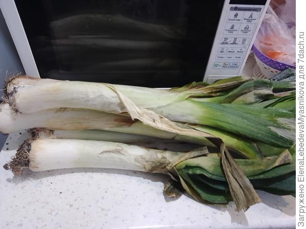 Размороженный лук зимой.