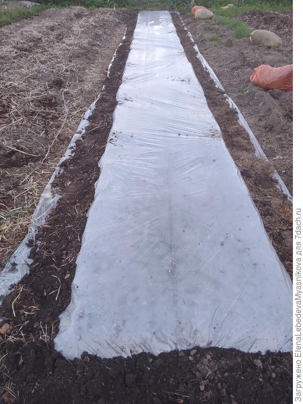 Накрыла свою термос - грядку на прогрев, скоро буду высаживать свою бахчу