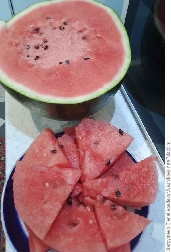 Рекордсмен этого года