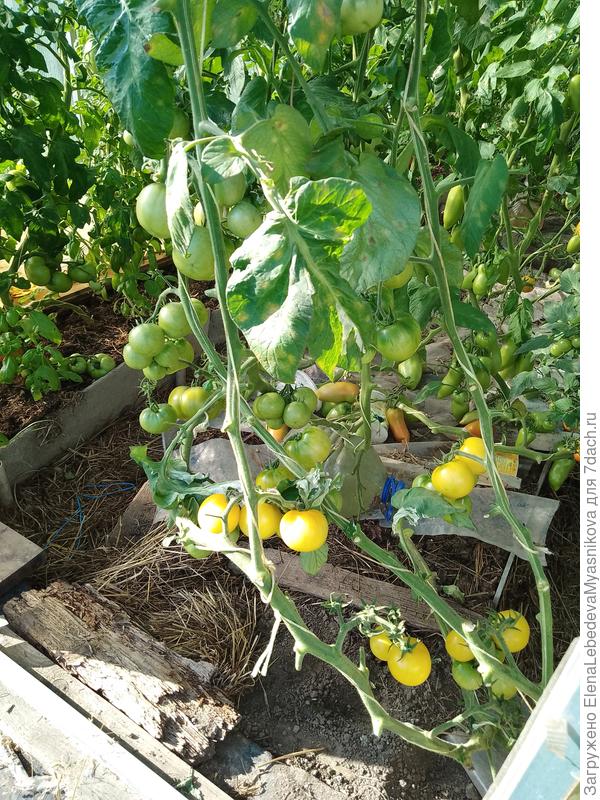 Низ уже частично оборван