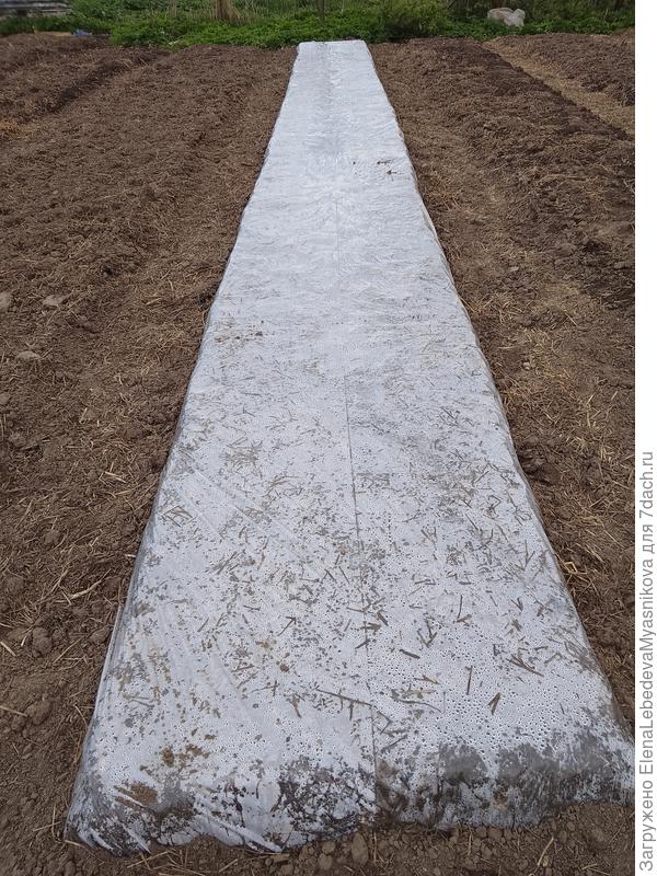 Вот на земле сколько мусора