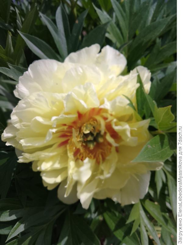 Юля!!! Поздравляю с днем рождения! Желаю, чтобы здоровье было крепким, благополучие — вечным, удача — неизменной, а успех — постоянным! Пусть твой дом будет полон достатка, счастья, уюта, тепла, радости и смеха. Желаю, чтобы верные друзья всегда были рядом, а близкие люди наполняли жизнь любовью, заботой и спокойствием.