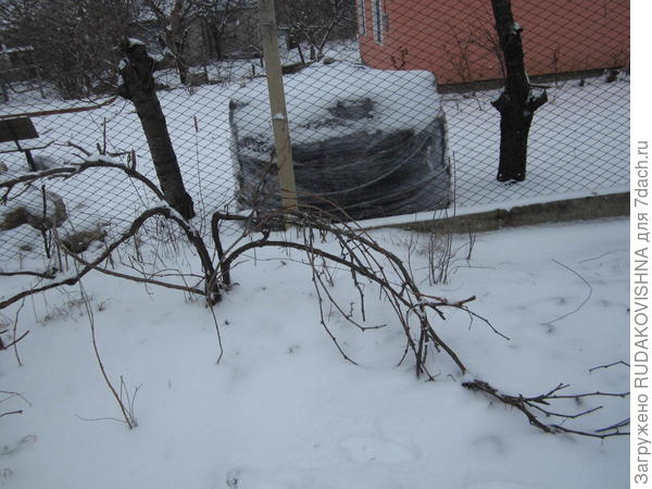 было