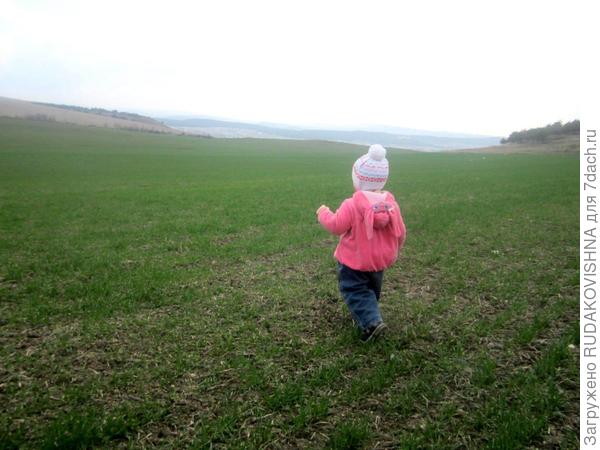 Взошли посевы на полях=) И мы немного похулиганили и побегали по ним