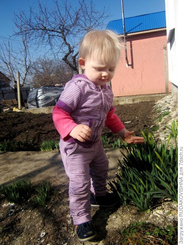 Доча у куста с нарциссами=)