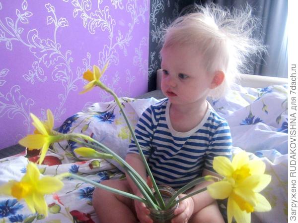 Зацвели нарциссы=)