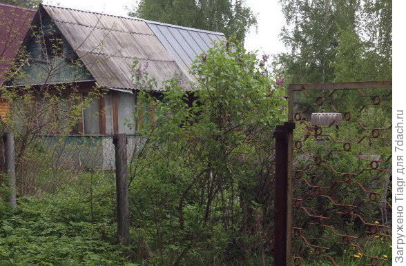 Вид сбоку