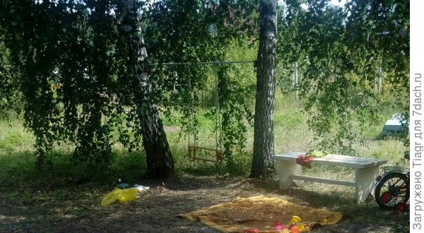 Мы оставили берёзы и повесили качели. Пусть пока будет так))) Это июль.