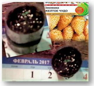 С днём рождения, чудная малышка;-)