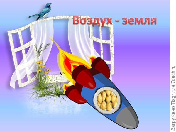 Схема от Александра))) На борту ракеты земляника &quot;Жёлтое чудо&quot;)))