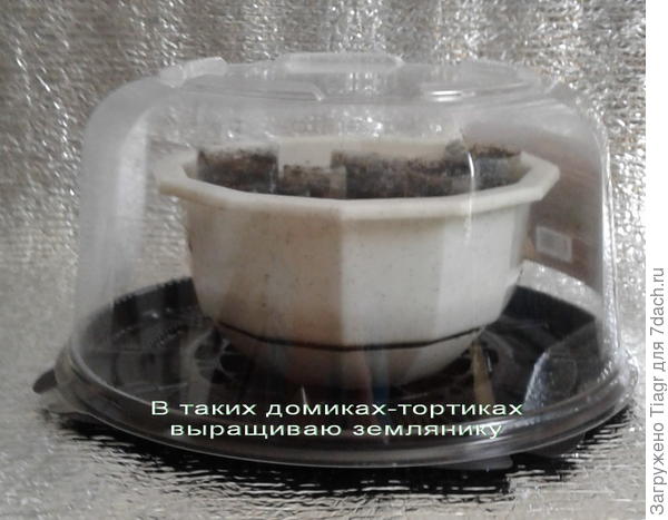 Домик для земляники