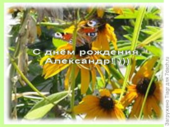 Желаю тёплого солнечного лета! И интересных экспериментов с растюхами)))