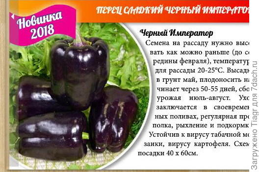 Чёрный Император