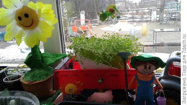 Грузовик везёт рассаду)))