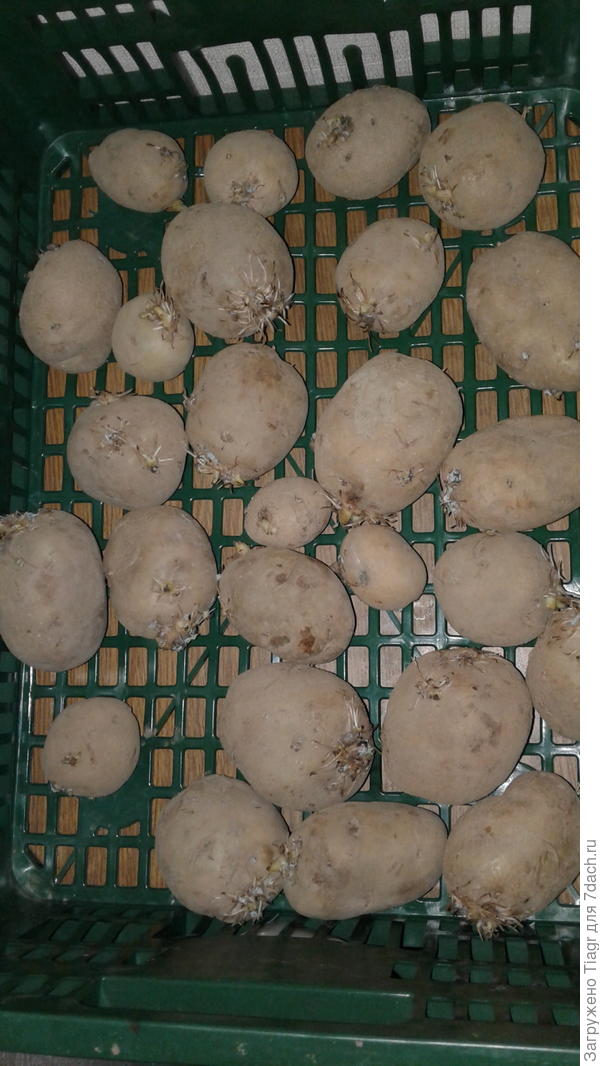 не выровненный, разнокалиберный