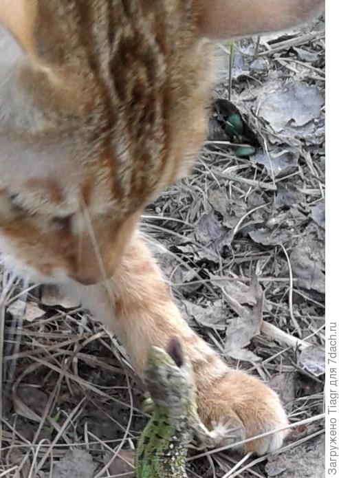 Тебя как зовут?)))