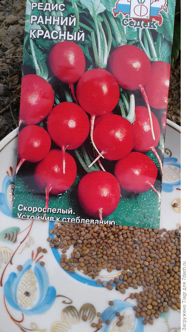 Ожидаю такой же как на картинке)))