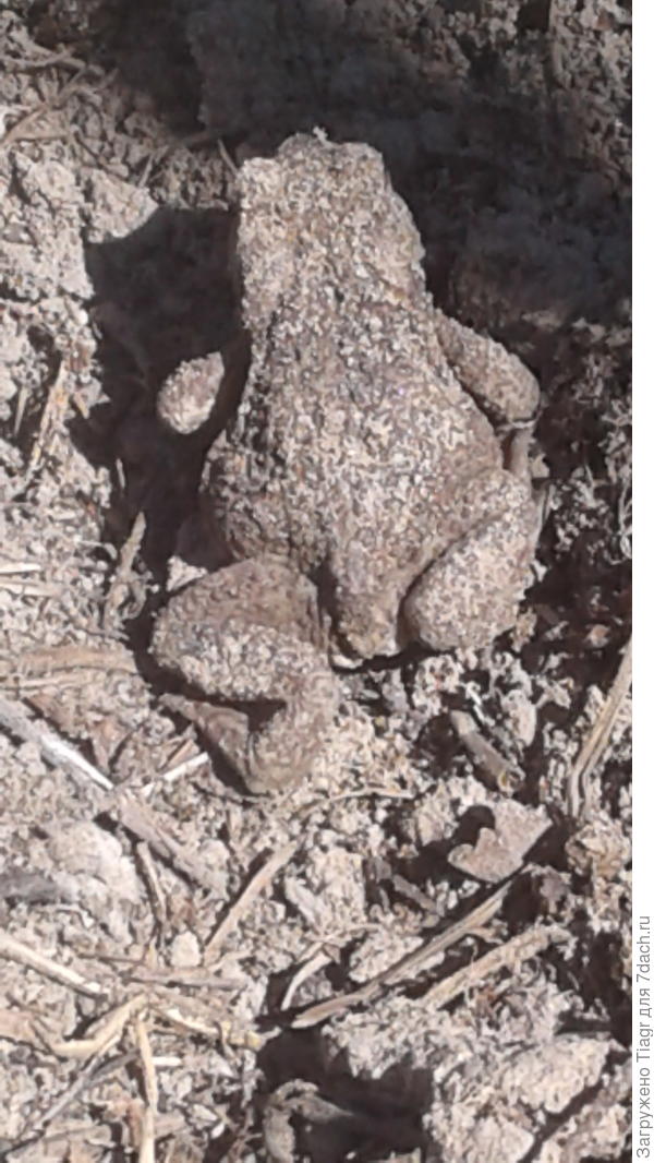 Может, на фотомарафоне пригожусь? А? ))) Пойду посмотрю, какие там фотомодели)))